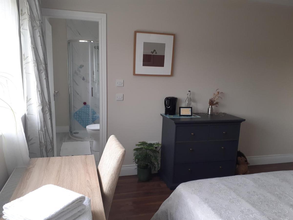 Ensuite At The Foot Of Dublin Mountains Luaran gambar